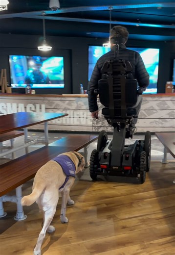 OMNI’s Social Height function makes manoeuvring around confined spaces so much easier. OMNI all day, everyday #omni #gamechanger #wheelchair #independence #fyp