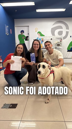 181K views · 10K reactions | Sonic foi adotado! 殺 Você tem interesse em adotar algum anjinho que foi resgatado da rua? Entre em contato conosco através do (14) 99896-2214 e faça a sua entrevista ♥️ Sonic has been adopted! 殺 Are you interested in adopting a little angel that was rescued from the streets? Contact us at (14) 99896-2214 and schedule your interview ♥️ #adote #adocao #pet #dog | ONG Arca da Fé Resgate Animal | Facebook