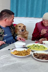 The male master wanted his aunt to drink, what did Dou'er do??😍👍 #smartdog #pet #goldenretriever | ᶠᴱᴱᴸᴵᴺᴳˢ