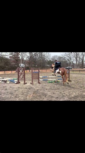 I had an amazing jump lesson with Archer today he was so awesome and so cute today #archerthegreatesthorse