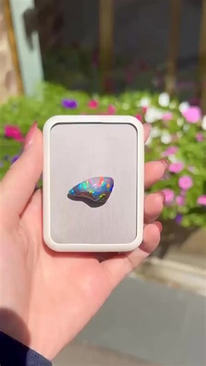 15 reactions · 9 comments | Nature’s masterpiece in motion. This boulder opal reveals its true brilliance as it moves — an ever-changing dance of colour, light and wonder. Explore our latest natural opal treasures online or in-store. #boulderopal #opalgemstone #octoberbirthstone #australianopal #opalminded | Opal Minded | Facebook