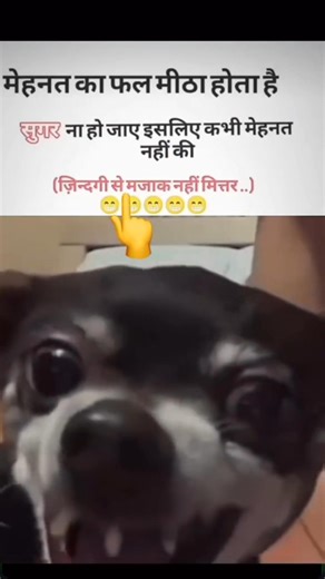 mehnat ka fal meetha hota Hai suar nahin Ho jaaye isliye humne kabhi mehnat nahin kiya. #crazyhub125