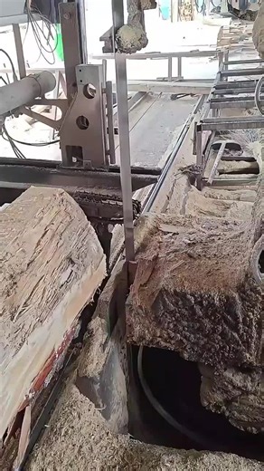 Large Scale Wood Processing in Factories