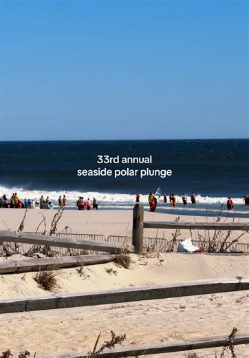 33rd Annual Seaside Polar Plunge Event Highlights