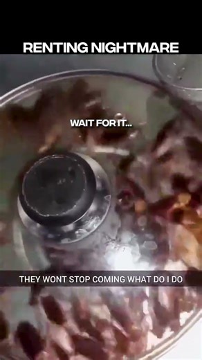 The Worst Kitchen Nightmare