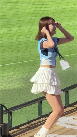 新莊球場的優質應援球迷