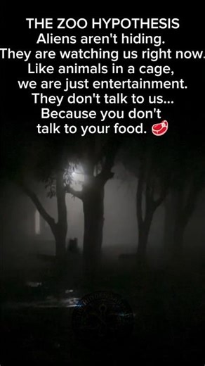 Are We Just Pets to Them? 👽🥩 The Zoo Hypothesis #Shorts