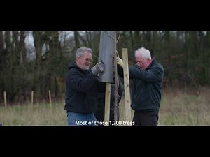 Valley park community tree planting