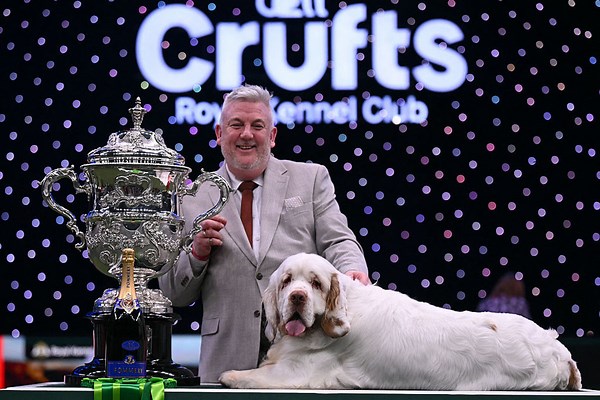 Crufts 2026: Best In Show crowned in Birmingham - see the results of the dog show at the NEC here