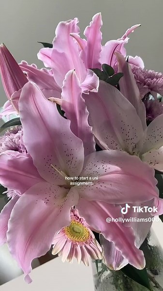 Please tell me I’m not alone in putting off my uni assignments! Its an issueeeee and this one is 3,500 words 🫠 #uni #assignment #studytok #diml #physio #CapCut