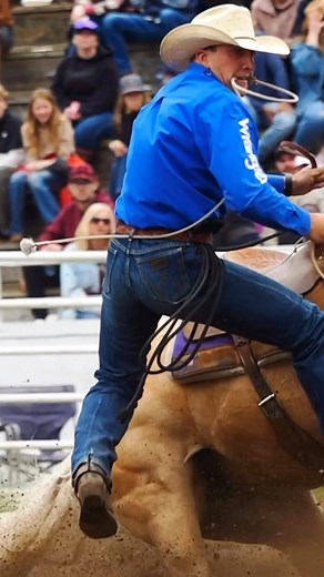 Cool little calf roping run on a big yella hoss! —- 📍Falkland Stampede . . . COWBOYS/CONTRACTORS: DM or tag yourselves for credit! COMPETITORS/CONTRACTORS: DM for videos! 🔥 for high quality custom edits of your video(s) for social media, please contact me directly for pricing. SOCIAL MEDIA PACKAGES available! Just message me. Conversation encouraged! Leave a dick of a comment? Blocked. Thx 🙏 Private sessions also available for events, stallion promotional material, or sale horses. #rodeo #can