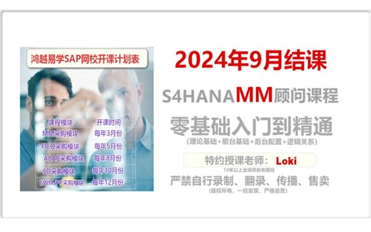 1-06.S4HANA MM EXCEL VBA在SAP中的应用