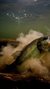 🤯 UNBELIEVABLE Fishing Hook Test! 🎣 You Won't Believe What Happens! 🔥