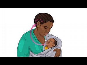 Breastfeeding and the Let Down Reflex