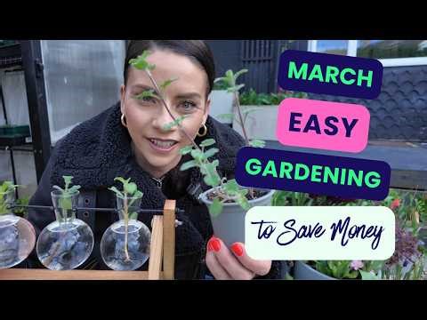 Beginner Garden Jobs For March - Part 2
