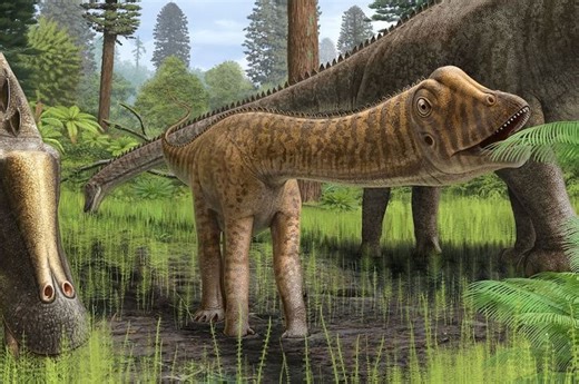 Dari Fosil Jadi Ikon: Kisah Dippy, Dinosaurus Diplodocus yang Menaklukkan Hati Dunia! - National Geographic