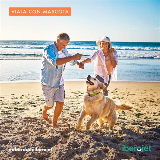 19 reactions · 20 comments | ¿Vas a viajar con tu mascota #abordodeiberojet? Recuerda que debes solicitar con el tiempo suficiente la reserva del transporte de animales a través de nuestro formulario. Informate de todo lo necesario antes de volar  https://bit.ly/3mPSdWR #setratadevolar | Iberojet | Facebook