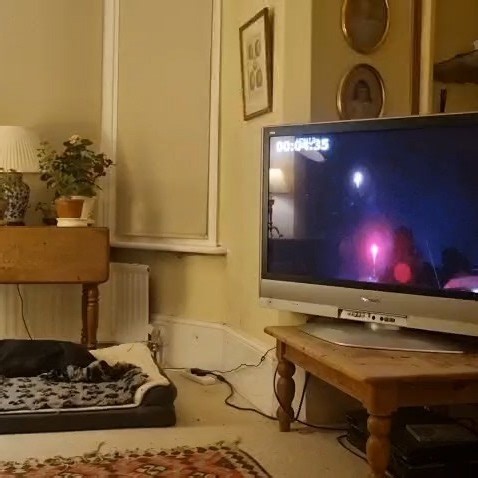 With firework season approaching, make sure you are prepared with...