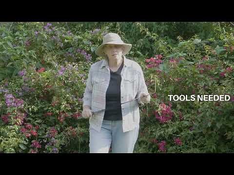 Jill's Tutorial - The Grass Slasher