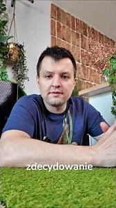 Te kosy to pewny wybór według serwisów #shorts