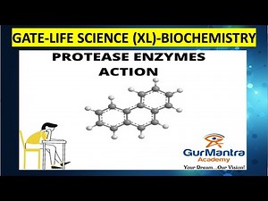 GATE Life Science: Biochemistry- 4 Video Lecture | Crash Course for GATE Life Sciences