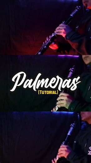 Palmeras (Tutorial) - Banda Mm #fyp #viral #clarinetplayer #clarinet #bandasinaloense instrumental clarinete banda | Alexis Higashikata