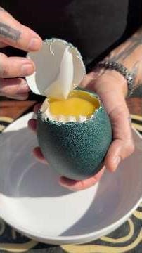 How to open an Emu egg, similar to an Ostrich Egg
