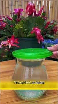 The secret to powerful root stimulation using only baking soda