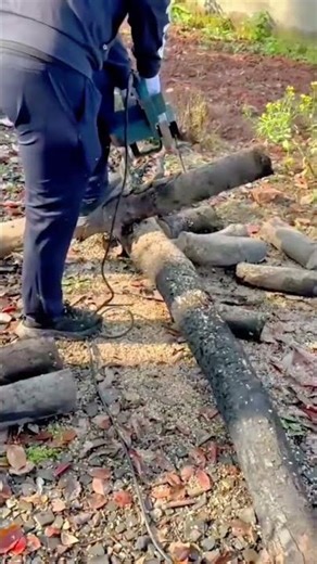 Cutting fallen tree logs into smaller segments using a portable electric chainsaw for wood