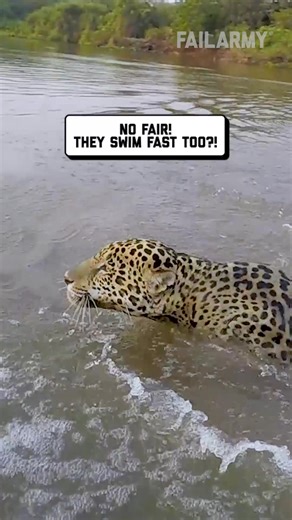 Wildest close calls caught 🫣 #fails #closecall | This is Happening