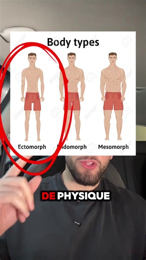 Être ectomorphe a énormément d’avantages… mais aussi quelques règles à connaître pour vraiment progresser. Je t’explique comment transformer ton morphotype en force. 💪 Ici on passe de skinny à MASS. #ectomorphe #musculation #priseDeMasse #morphotype #muscu