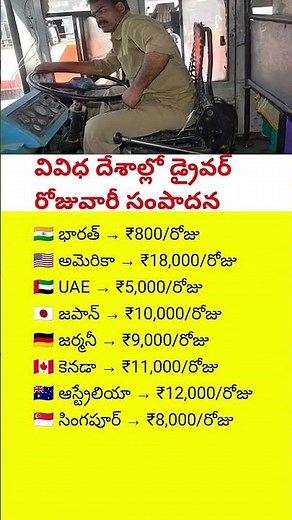 Driver Salaries Around the World 🌍🚛 | How Much Do Drivers Earn Per Day? 💰 #drivershortage