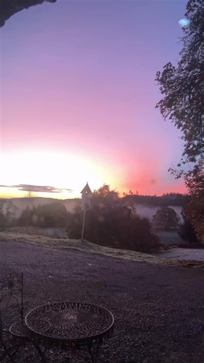 Who is this Journey Designed for? This journey is designed for individuals committed to overcoming intergenerational trauma, the underlying source of widespread human distress. It offers a pathway to sever the ties of these enduring struggles, halting the transmission of traumas to succeeding generations. Visit our website to learn more | Torus Tree | Facebook