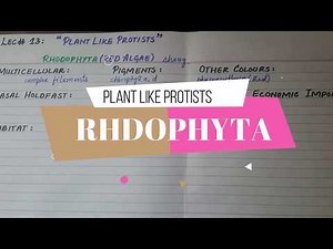 Lec# 13 - Rhodophyta (Red Algae) | Economical Importance & Its Examples.