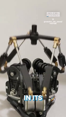 Crazy Motion Robot Has Six Degrees of Freedom