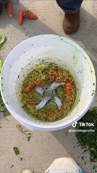 Automatic Vegetable Cutter for Effortless Food Prep