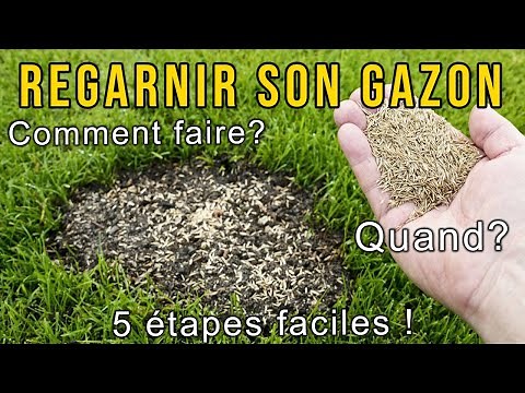 Comment Regarnir son Gazon ? Tutoriel pour Débutant !