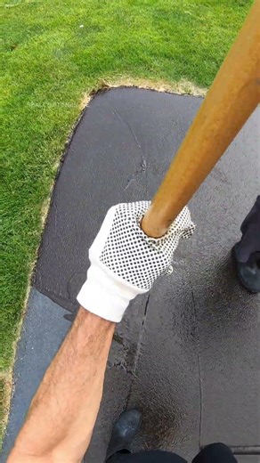 Ride the wave #shorts