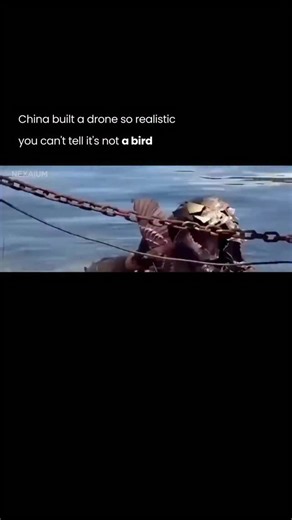 NEXAIUM | AI Tools & Technology on Instagram: "This isn’t CGI. This is real military tech. China just revealed a bird-shaped drone that mimics the size, flight pattern, and appearance of real birds. No rotors. No propellers. Just flapping wings. It glides. It turns. It perches. Exactly like a real bird. The tech behind it: lightweight composite materials and electric propulsion hidden inside the body. Why it matters: you can’t shoot down what you can’t identify. Surveillance just entered a new e