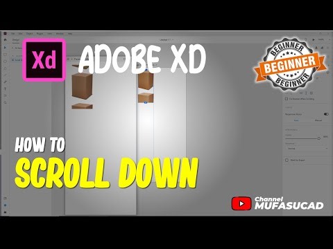 Adobe XD How To Scroll Down