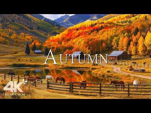4K Autumn Forest Meditation 🍁 Healing Music with Nature Sounds