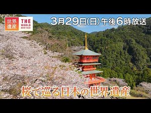 【TBS世界遺産】桜で巡る日本の世界遺産【3月29日午後6時放送】