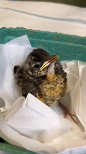 312K views · 10K reactions | “Hello, I’d like to call your attention...