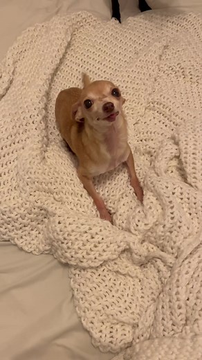 Meet Jolene: The Big Cutie with a Heart of Gold