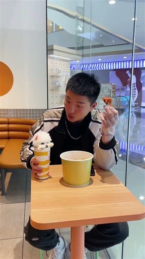 #Teacup Dog #Pomeranian #Cute Pet