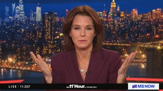 ‘Are you kidding me?’ Stephanie Ruhle shocked by video of masked agents ramming father and son on way to school