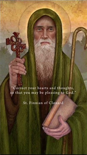 Happy Feast of St. Finnian of Clonard!