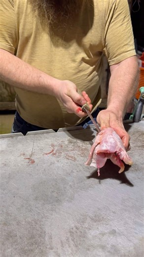 Oddly Satisfying Fish Cleaning #catfishing #howto #catfish #fish #shorts