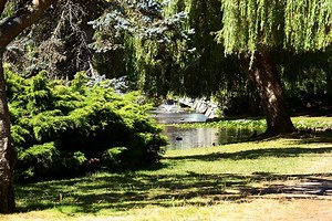 Beacon Hill Park in Victoria, Canada