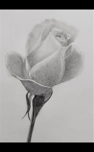 #rose drawing step by step